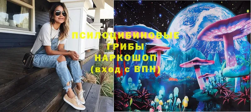 Галлюциногенные грибы MAGIC MUSHROOMS  mega рабочий сайт  Новоалександровск 